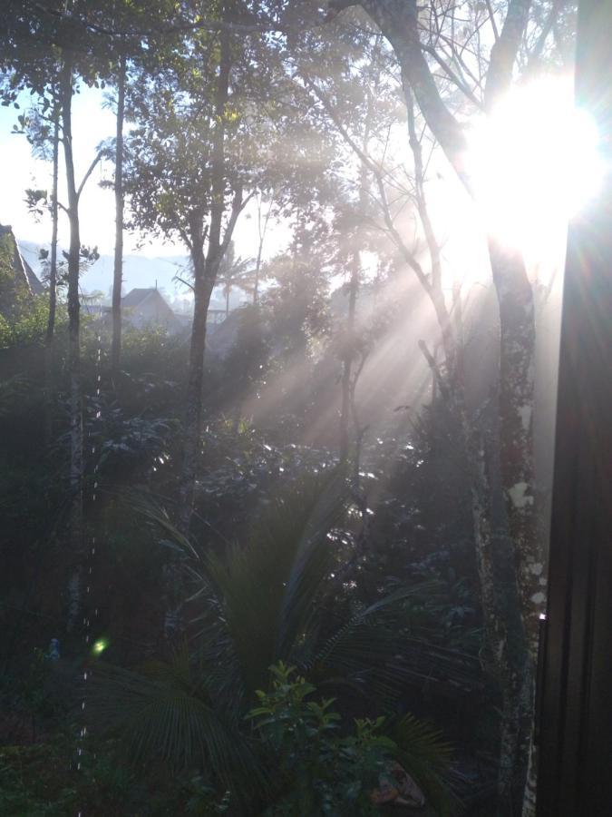 Winterhome Homestay Munnar Kültér fotó