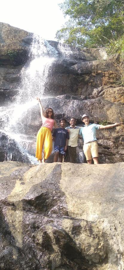 Winterhome Homestay Munnar Kültér fotó