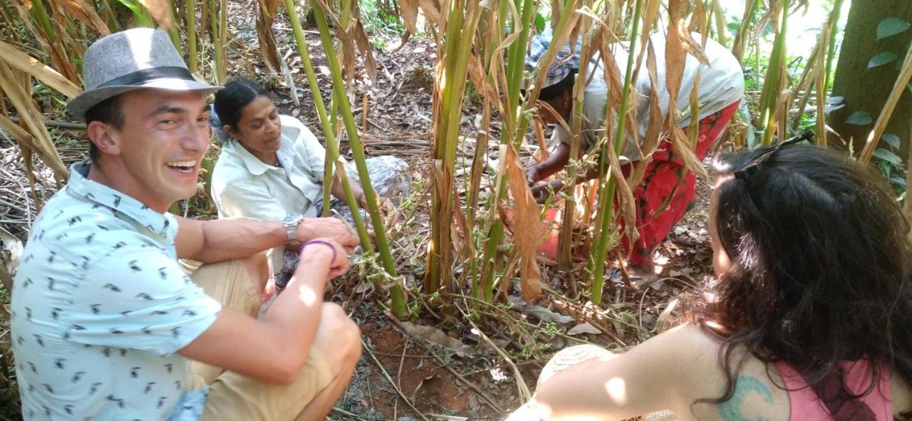 Winterhome Homestay Munnar Kültér fotó