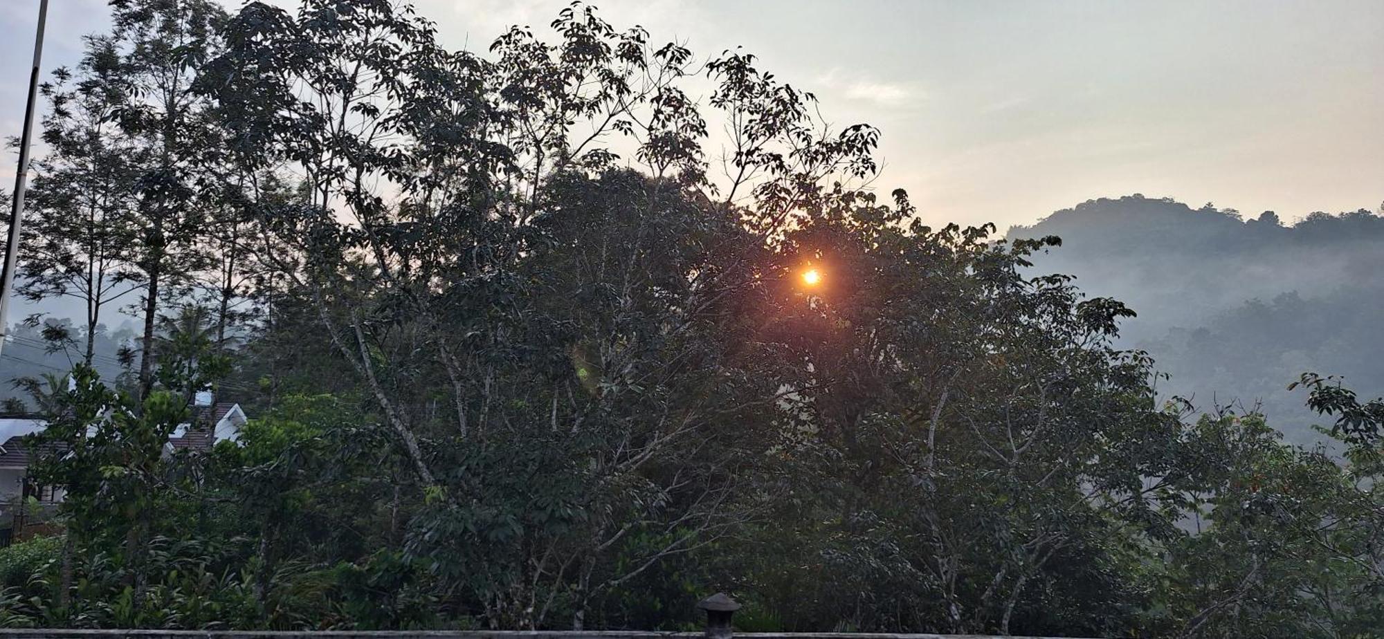 Winterhome Homestay Munnar Kültér fotó