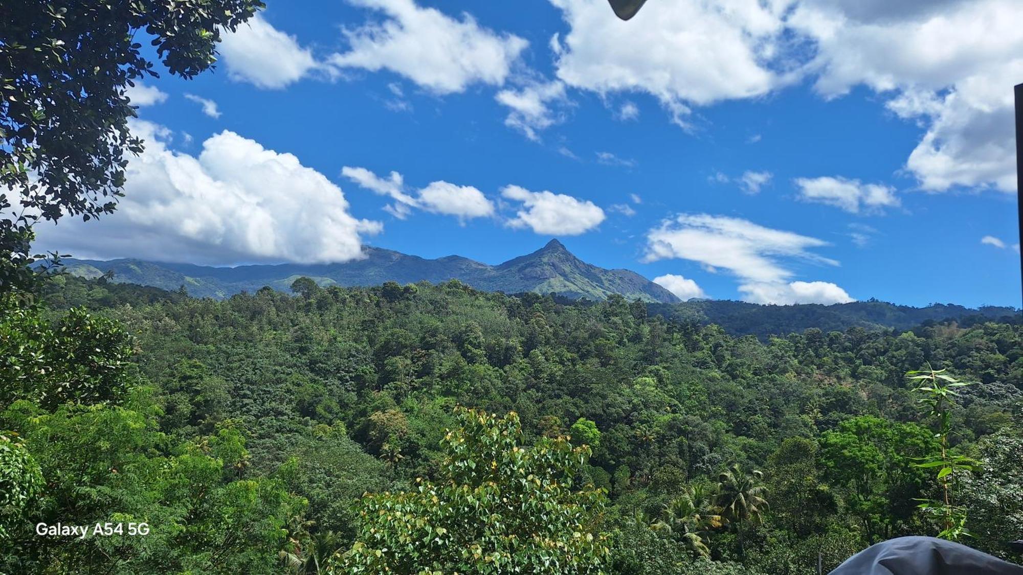 Winterhome Homestay Munnar Szoba fotó